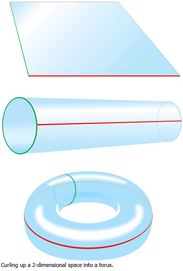 A flat paper rolled into a tube then formed intoa donut demonstrates a 2-dimensional space transforming into a torus.